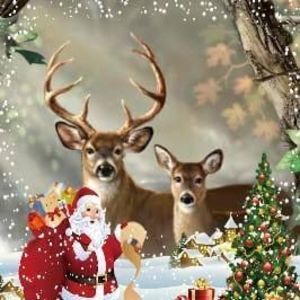 Meet your Posher, Ben